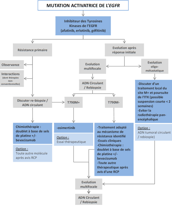 Arbre décisionnel : Tumeurs avec mutations activatrices de l'EGFR Arbre décisionnel : Tumeurs avec mutations activatrices de l'EGFR