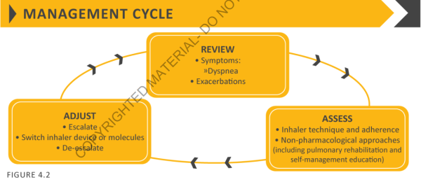 Cycle de management et de suivi (GOLD 2019) Cycle de management et de suivi (GOLD 2019)