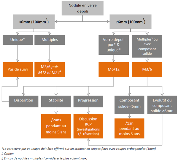 Proposition d'algorithme décisionnel pour les nodules en verre dépolis et les nodules mixtes incidents Proposition d'algorithme décisionnel pour les nodules en verre dépolis et les nodules mixtes incidents