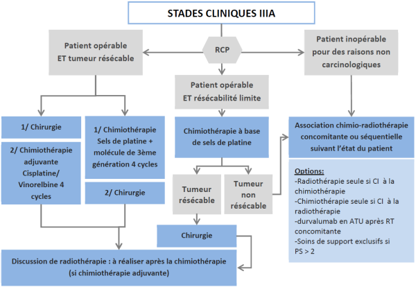 Arbre décisionnel : Tumeurs stade IIIa Arbre décisionnel : Tumeurs stade IIIa