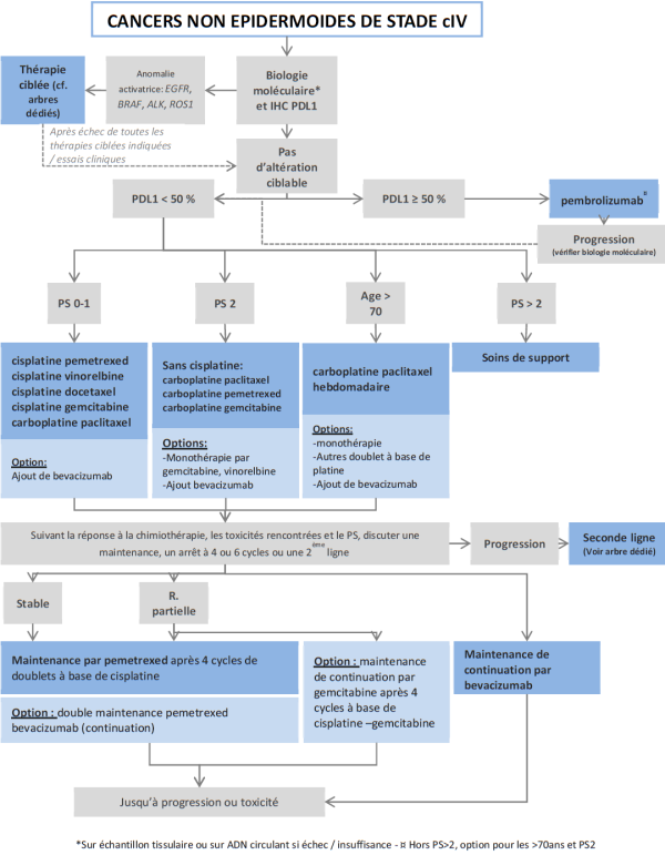 Arbre décisionnel : Tumeurs stades IV (non épidermoïde) Arbre décisionnel : Tumeurs stades IV (non épidermoïde)