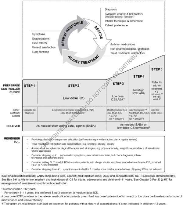 Stepwise approach to control symptoms and minimize future risk (GINA 2018) Stepwise approach to control symptoms and minimize future risk (GINA 2018)