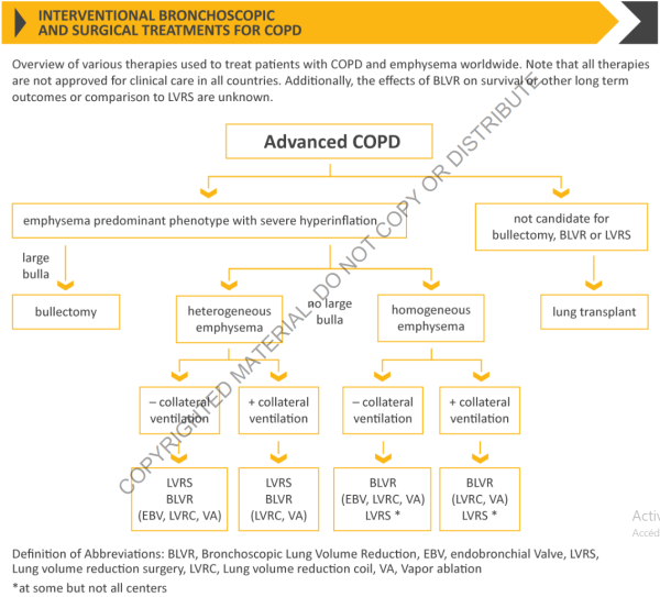 Interventional Bronchoscopic and Surgical Treatments for COPD (GOLD 2019) Interventional Bronchoscopic and Surgical Treatments for COPD (GOLD 2019)